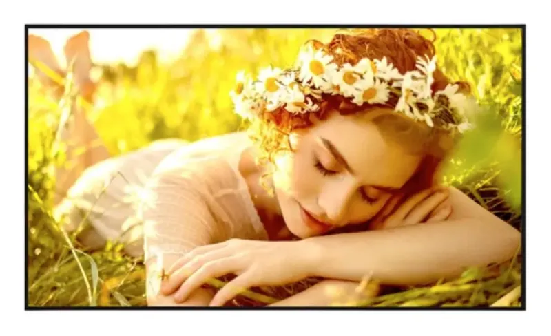 UL5Q Series - 65 Zoll - 4K UHD Digital Signage Display - 3840x2160