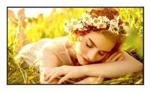 UL5Q Series - 65 Zoll - 4K UHD Digital Signage Display - 3840x2160