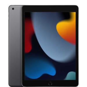 iPad 9 256GB WIFI 10.2" Space Gray No Accessories/In Sealed Brown Box
