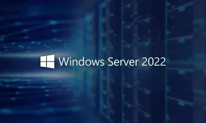 P46219-B21 Windows Server 2022 50 Users CAL Multilingual